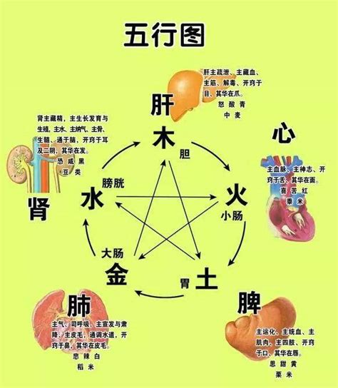 重慶地理 五行身体部位